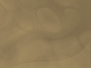 漏洞检测